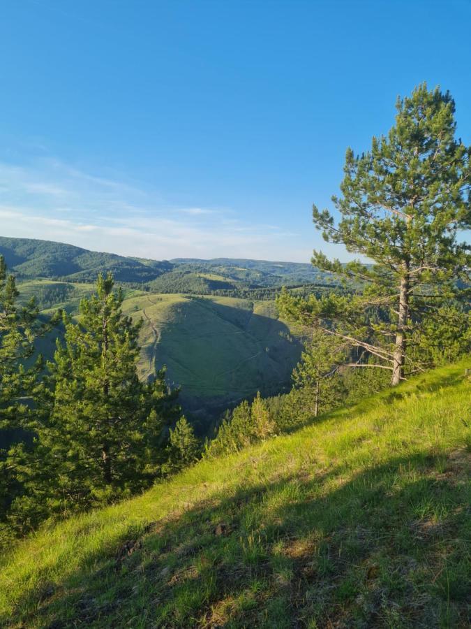Apartman Juga Kremna Esterno foto