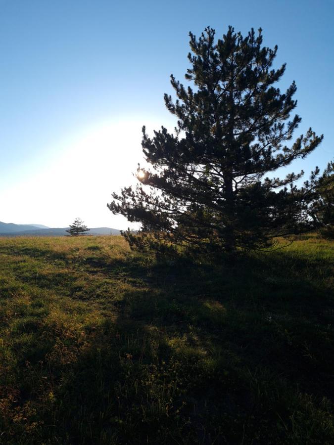 Apartman Juga Kremna Esterno foto